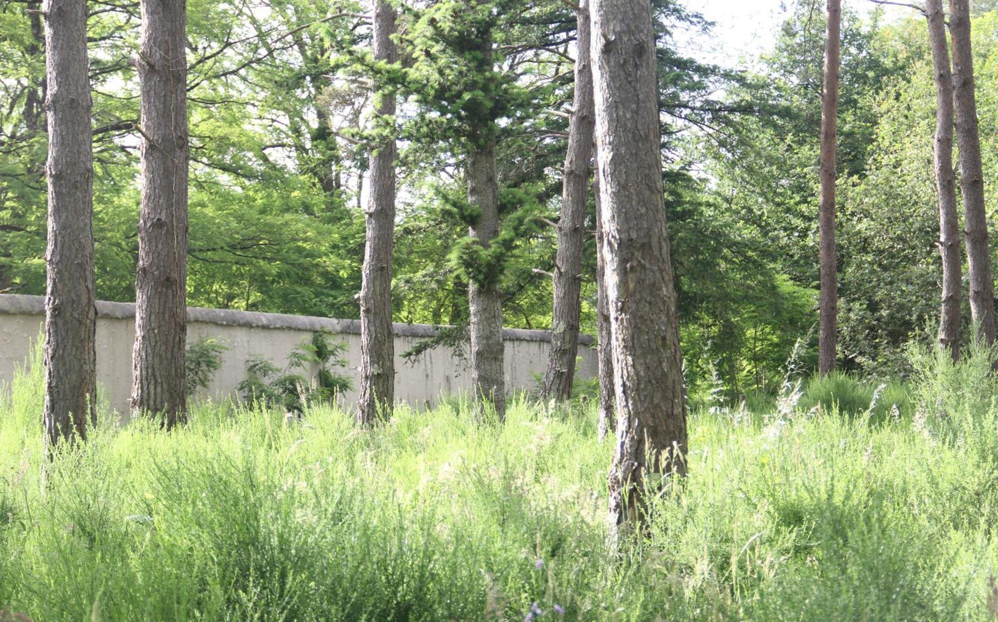 Le Refuge De Chambord Villa Thoury Exteriör bild